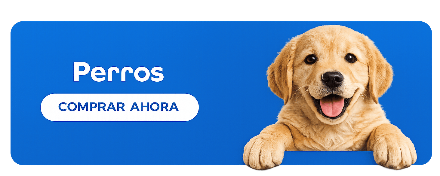 Perros