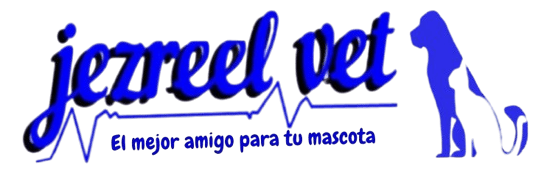 Jezreel Vet